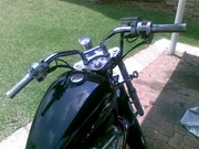  Steed 600