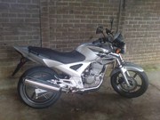 Honda Cbx250 Twista