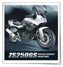 Zongshen Zs250gs