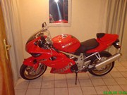 Suzuki Tl1000s