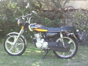 Gomoto Freedom 125