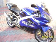  Zx9 Ninja