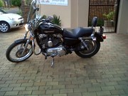  1200sportster