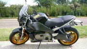  Xb1200ss