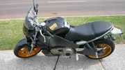  Xb1200ss