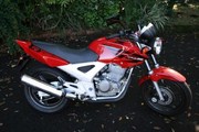  Cbx 250 Twister