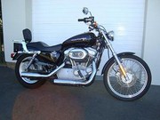 Harley Davidson Sportster 883 Custom