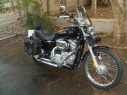 Harley Davidson 883 Sportster Custom