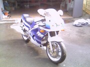  Fzr1000 Genesis