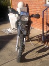  Dt 175