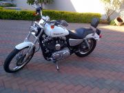  1200 Sportster Custom