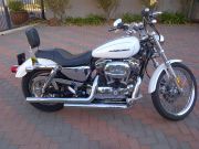  1200 Sportster Custom