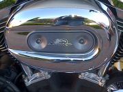  1200 Sportster Custom