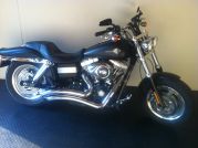 Fat Bob