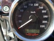  883 Custom Sportster