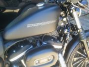  Harley Davidson Xl883n Iron