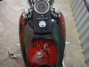  Softail Custom