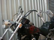  Softail Custom