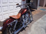  Sportster