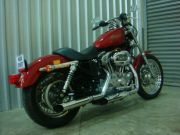  Sportster 883 Low