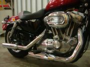  Sportster 883 Low