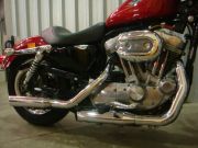  Sportster 883 Low