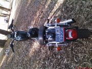  Xl 883 Sportster