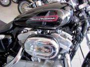  883 Sportster