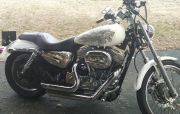  883 Sportster