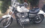  883 Sportster