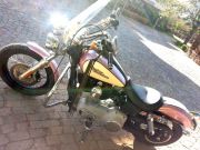  Dyna Street Bob