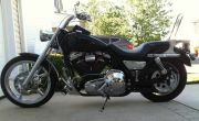 Dyna Street Bob