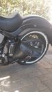  Softail Custom