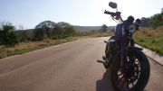  Sportster