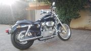  Sportster