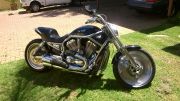  V-rod 1130