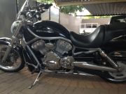  V-rod