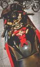  Cbr 1100 Blackbird