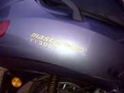  Master 300