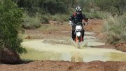  Freeride