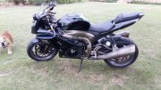  Gsxr1000