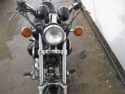  Virago