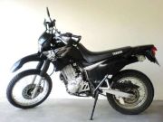  Xt