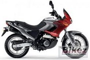  Pegaso