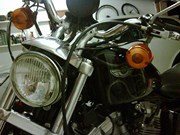  Sportster 883