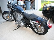  Sportster Xl883l Low
