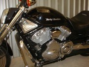  V-rod