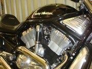  V-rod