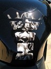  Blackbird 1100 Xx