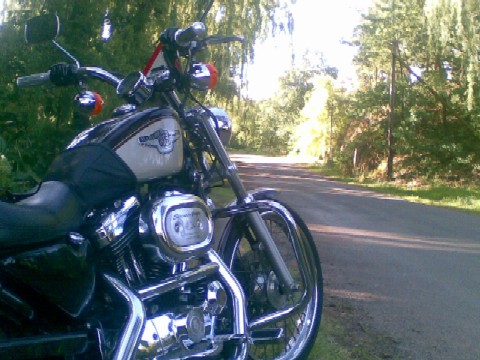 Harley Davidson Xl1200 Sportster Custom Anivursary Model